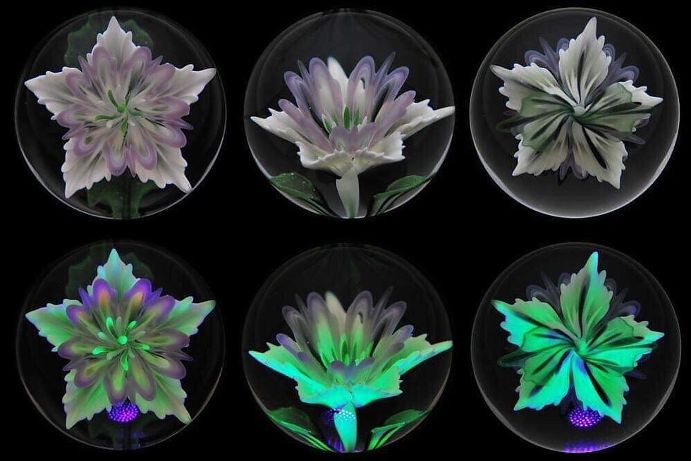Uru JUNO CLOVER [marble]