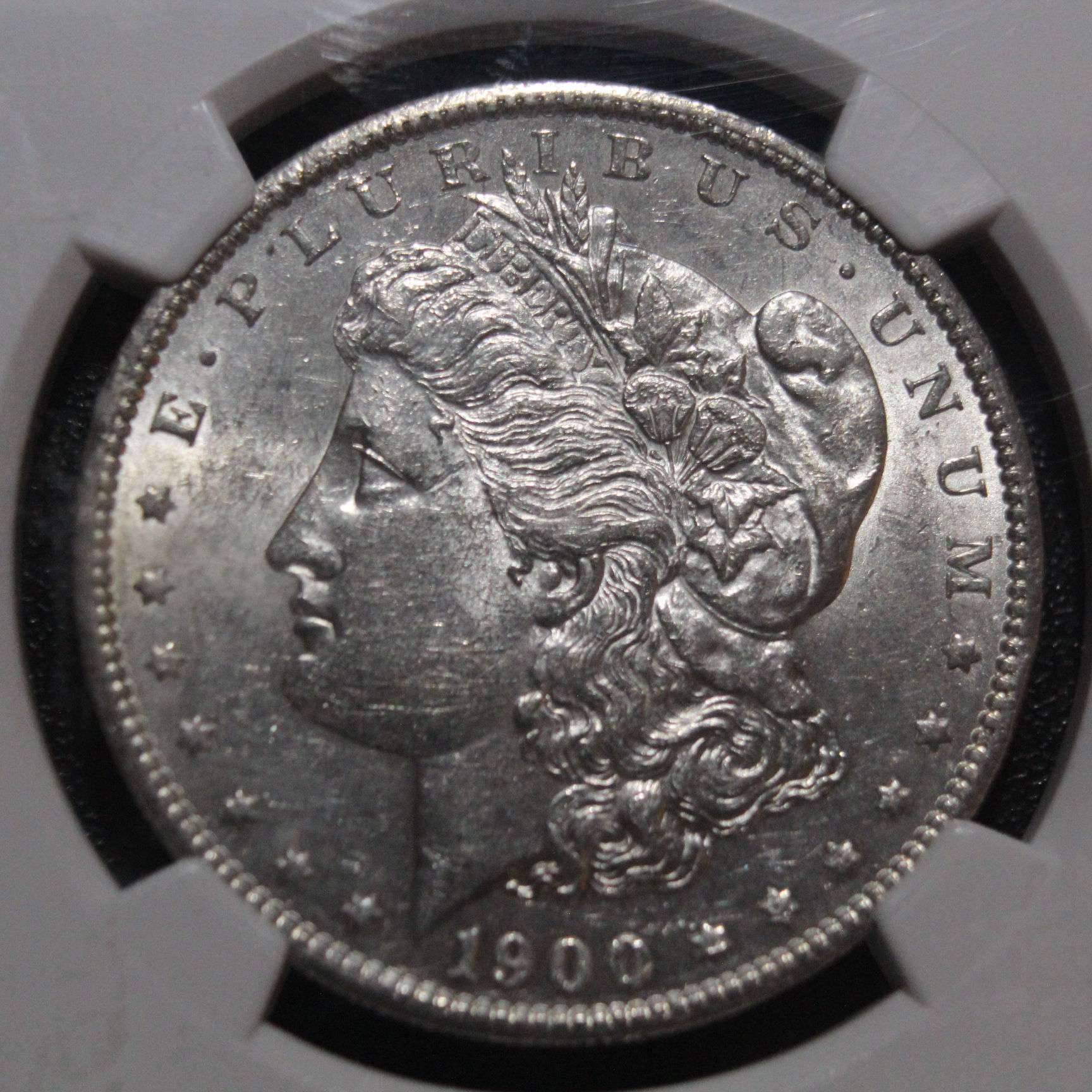 Morgan Dollar 1900 S