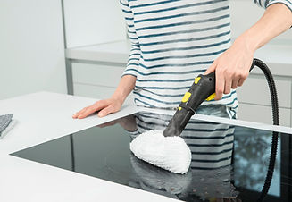 steam cleaner.jpg