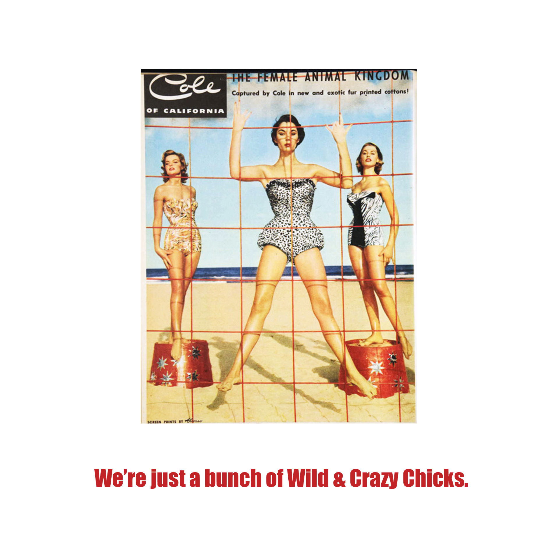 wild n crazy chicks