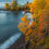 Thumbnail: Autumn On The Shore - Lake Superior