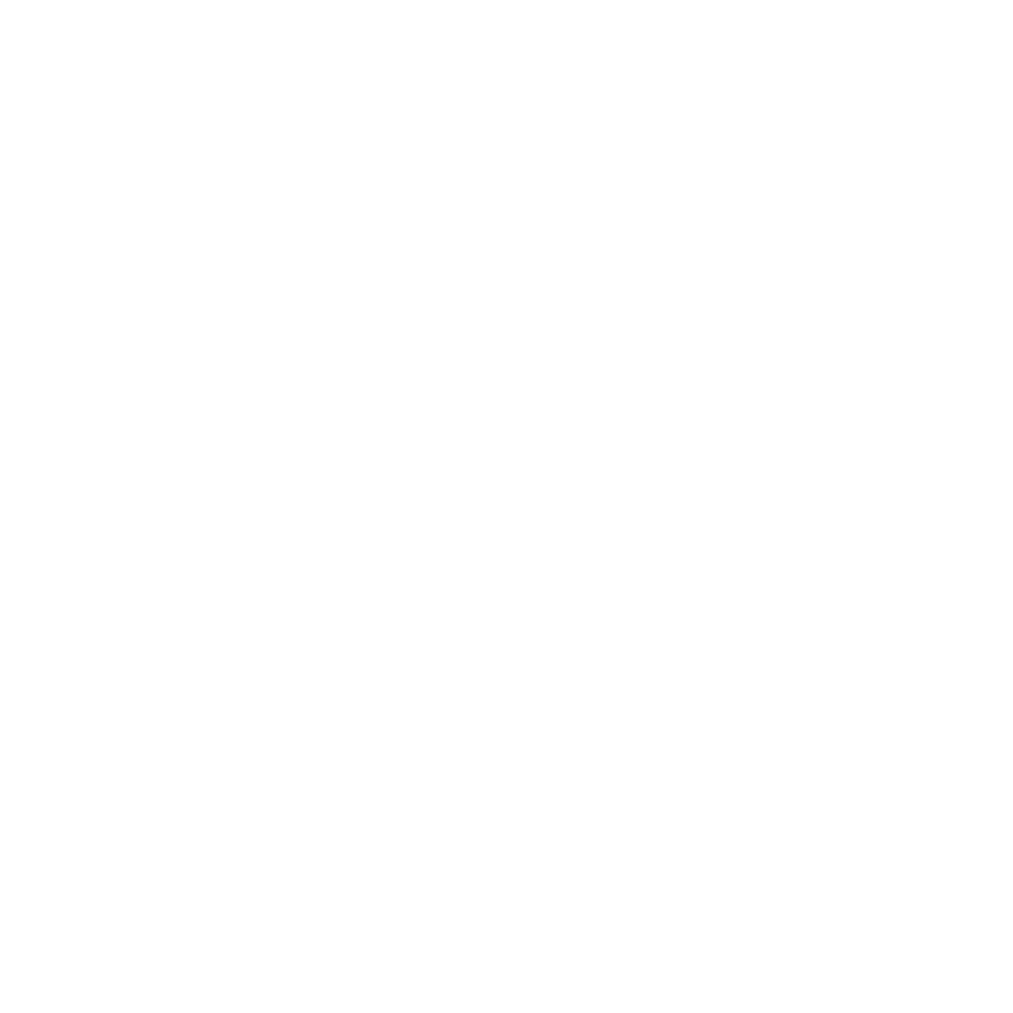 PPP-Logo-White-Transparent.png