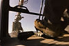 IG1A7461.jpg