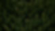 forest drone.jpg