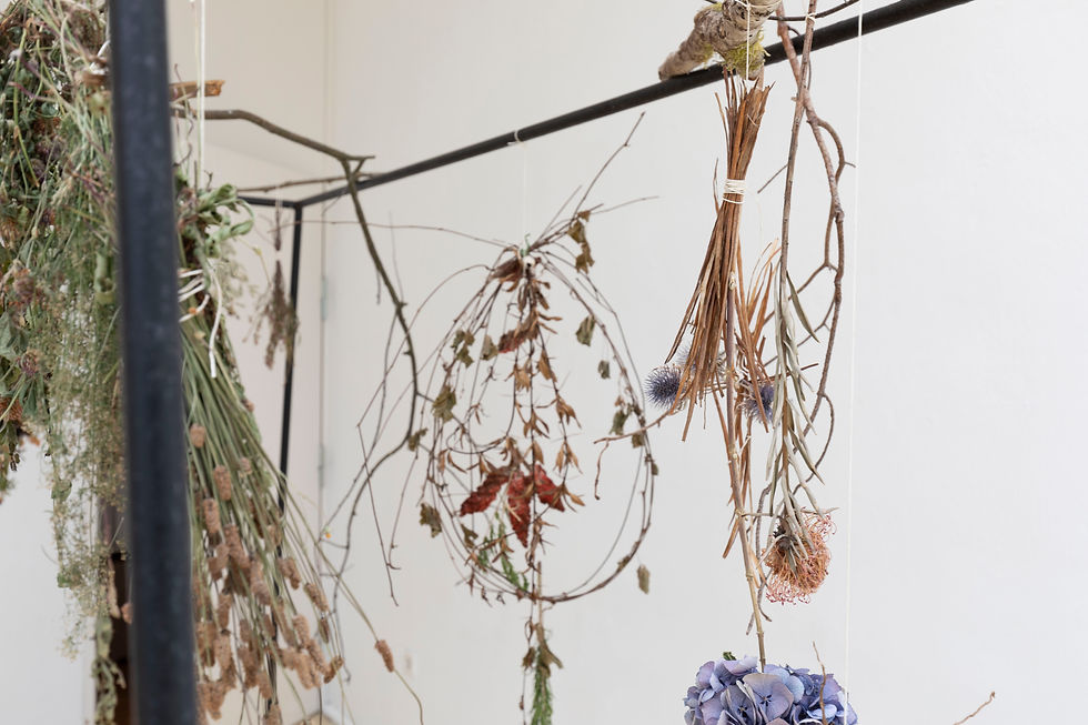 Botanical Mandala Ritual_ Towards the Way of Oneness (2023)