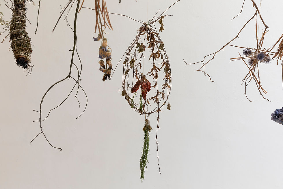 Botanical Mandala Ritual_ Towards the Way of Oneness (2023)