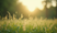Unlocking the Power of Innocence in the Face of Anger and Hurt