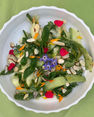 seasonal zucchini salad