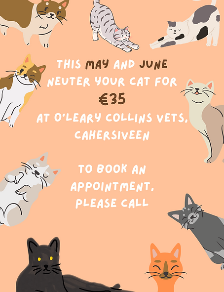 june neutering2026.png