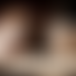 dog and cat sleeping