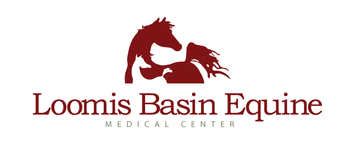 loomis basin logo.gif