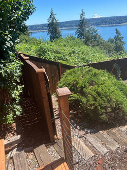Restained Fence with a view