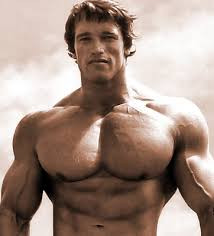 Arnold Schwarzenegger chest