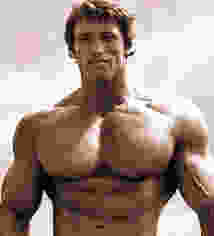 Arnold Schwarzenegger chest