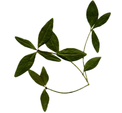 DESCARGAR IMAGENES IMPRIMIR SCRAPBOOKING DECOUPAGE FLORES PLANTAS SETAS JARRONES VINTAGE (420)