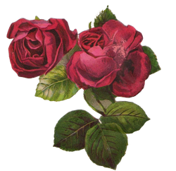 DESCARGAR IMAGENES IMPRIMIR SCRAPBOOKING DECOUPAGE FLORES PLANTAS SETAS JARRONES VINTAGE (17)