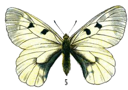 DESCARGAR IMAGENES IMPRIMIR SCRAPBOOKING DECOUPAGE GRATIS (100)