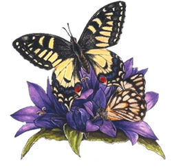DESCARGAR IMAGENES IMPRIMIR SCRAPBOOKING DECOUPAGE GRATIS (97)