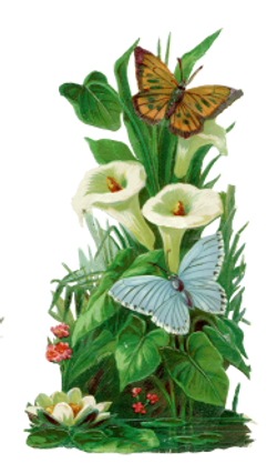 DESCARGAR IMAGENES IMPRIMIR SCRAPBOOKING DECOUPAGE FLORES PLANTAS SETAS JARRONES VINTAGE (72)