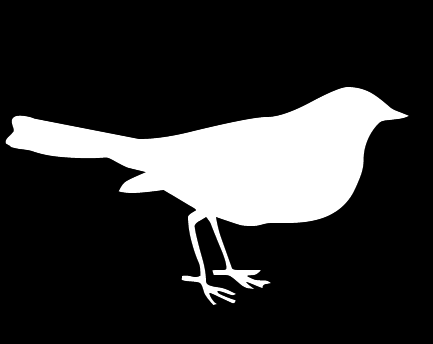 PLANTILLA ANIMAL PARA ESTARCIR (3).png