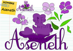 NOMBRE EN GOMA EVA-ASENETH.png