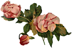 DESCARGAR IMAGENES IMPRIMIR SCRAPBOOKING DECOUPAGE FLORES PLANTAS SETAS JARRONES VINTAGE (26)