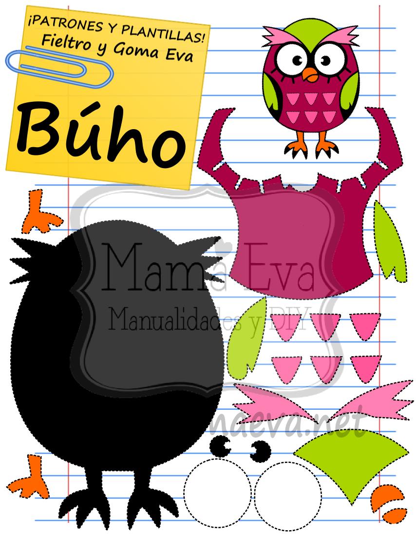 AVES Y PÁJAROS