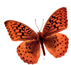 DESCARGAR IMAGENES IMPRIMIR SCRAPBOOKING DECOUPAGE GRATIS (93)