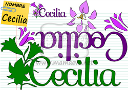 NOMBRE EN GOMA EVA-CECILIA.png