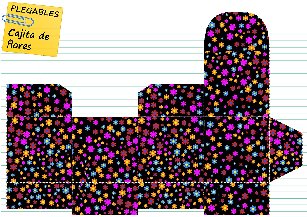 CAJAS PLEGABLES