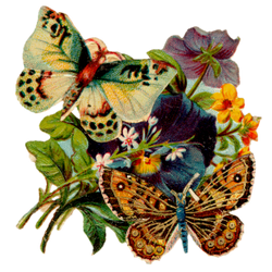 DESCARGAR IMAGENES IMPRIMIR SCRAPBOOKING DECOUPAGE GRATIS (45)