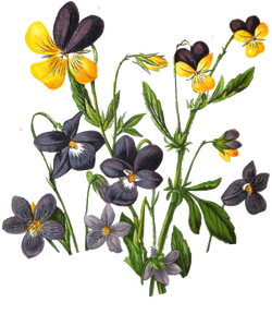 DESCARGAR IMAGENES IMPRIMIR SCRAPBOOKING DECOUPAGE FLORES PLANTAS SETAS JARRONES VINTAGE (7)