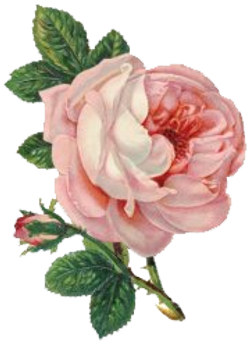 DESCARGAR IMAGENES IMPRIMIR SCRAPBOOKING DECOUPAGE FLORES PLANTAS SETAS JARRONES VINTAGE (88)