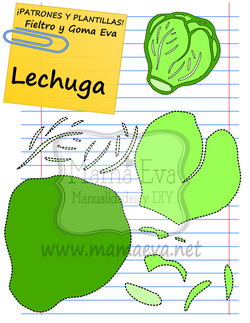 PLANTILLA DE LECHUGA DE GOMA EVA O FIELTRO.png