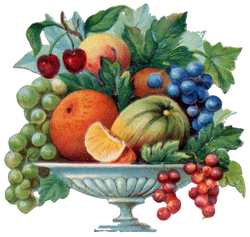 DESCARGAR IMAGENES IMPRIMIR SCRAPBOOKING DECOUPAGE FLORES PLANTAS SETAS JARRONES VINTAGE (95)