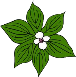 DESCARGAR IMAGENES IMPRIMIR SCRAPBOOKING DECOUPAGE FLORES PLANTAS SETAS JARRONES VINTAGE (422)