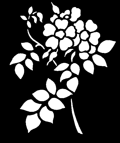 PLANTILLA ESTARCIR FLORES Y PLANTAS (11).png