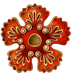 DESCARGAR IMAGENES IMPRIMIR SCRAPBOOKING DECOUPAGE GRATIS (24)