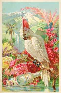 DESCARGAR IMAGENES IMPRIMIR SCRAPBOOKING DECOUPAGE GRATIS (2)