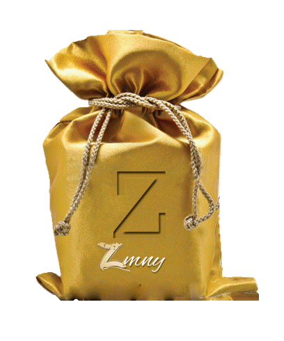 1ZMNY LOGO.gif