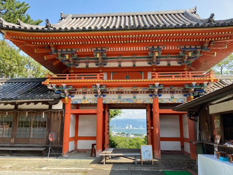 和歌山城~東照宮~養翠園ツアー開催