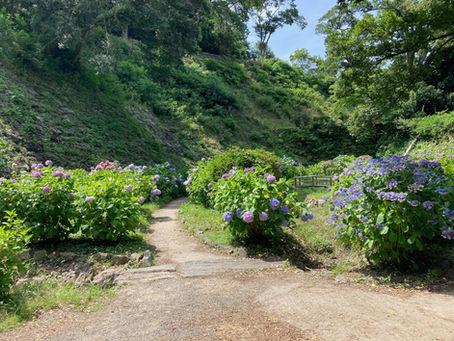 和歌山城　鶴の谷