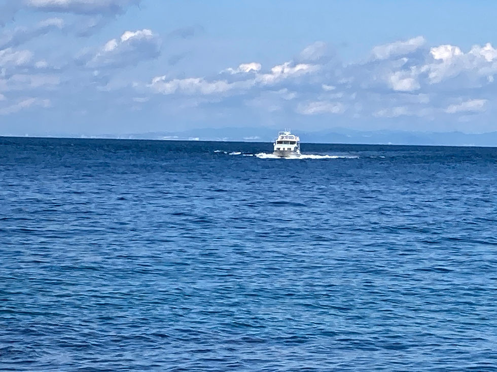 秋の海ですね　少し寒かったです