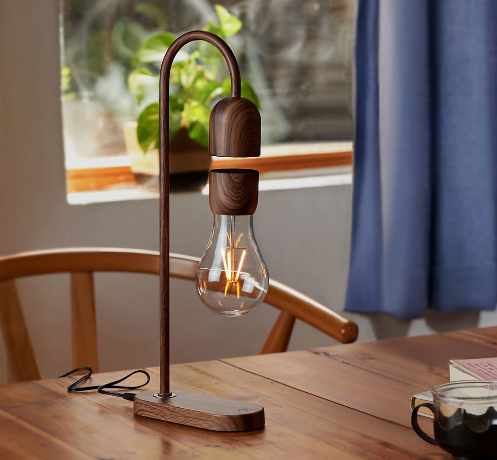 Gingko Evaro Teardrop Lightbulb Lamp