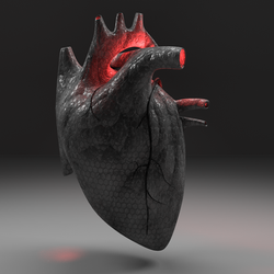 Singularity Heart
