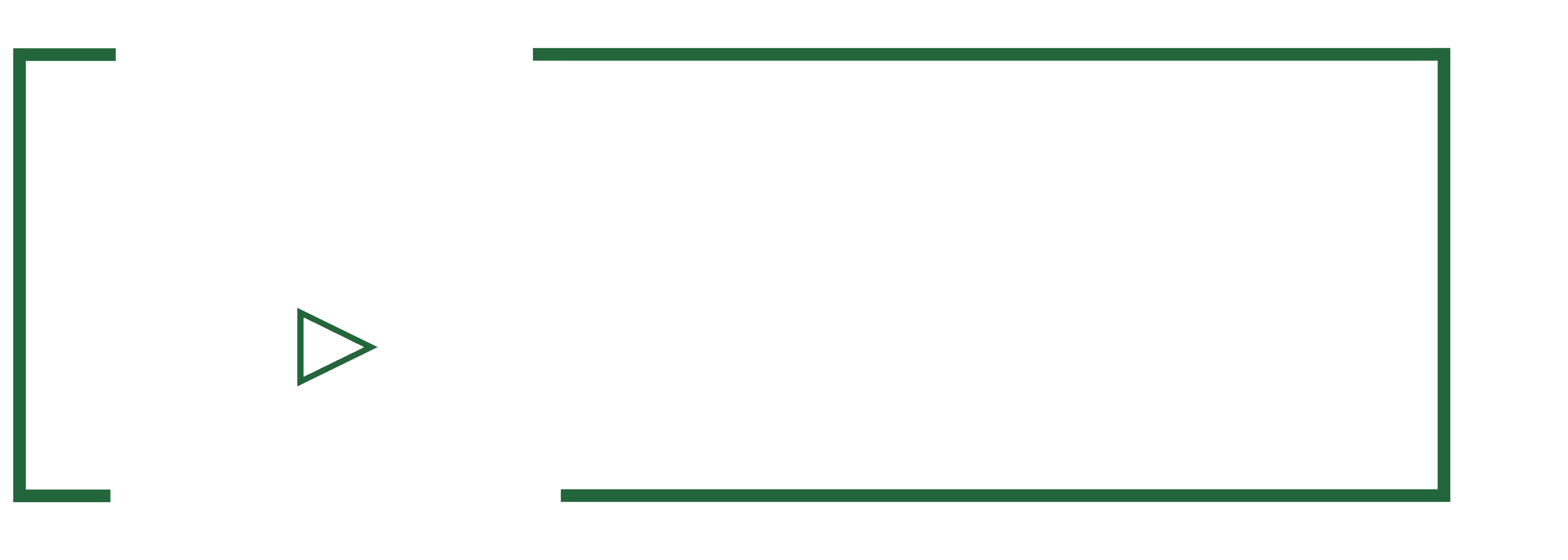FROG MEDIA Logo Nachbau weiß.png
