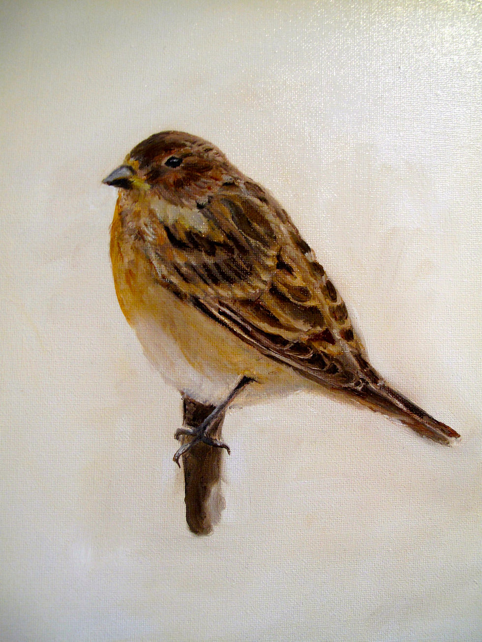 Twite