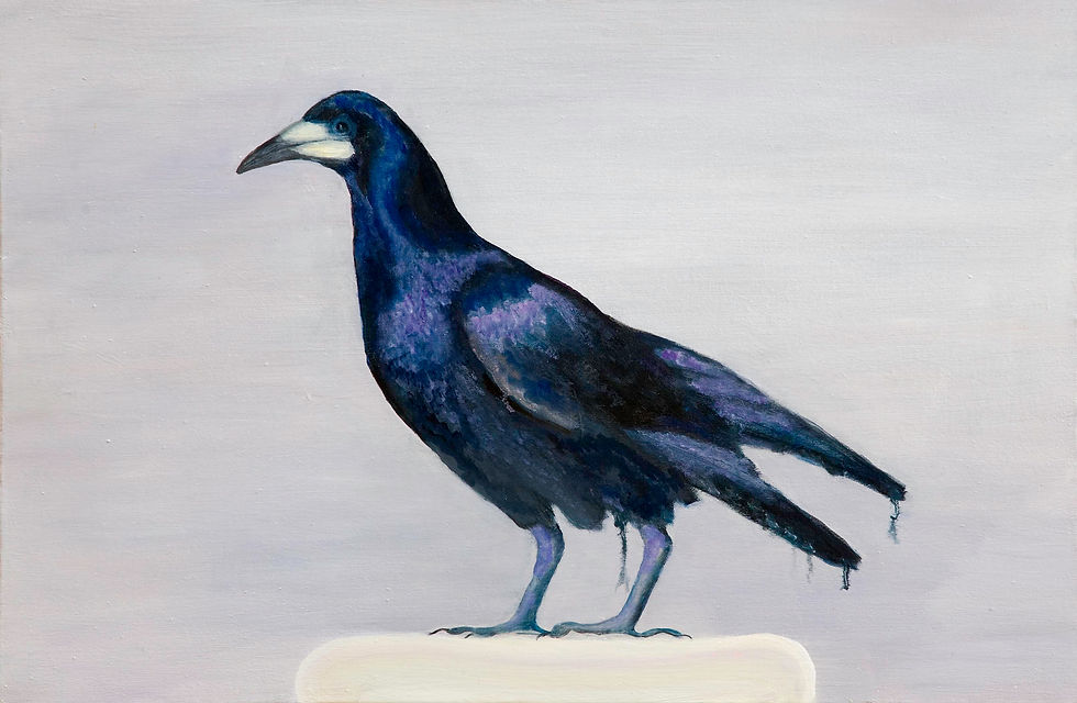 Rook 2