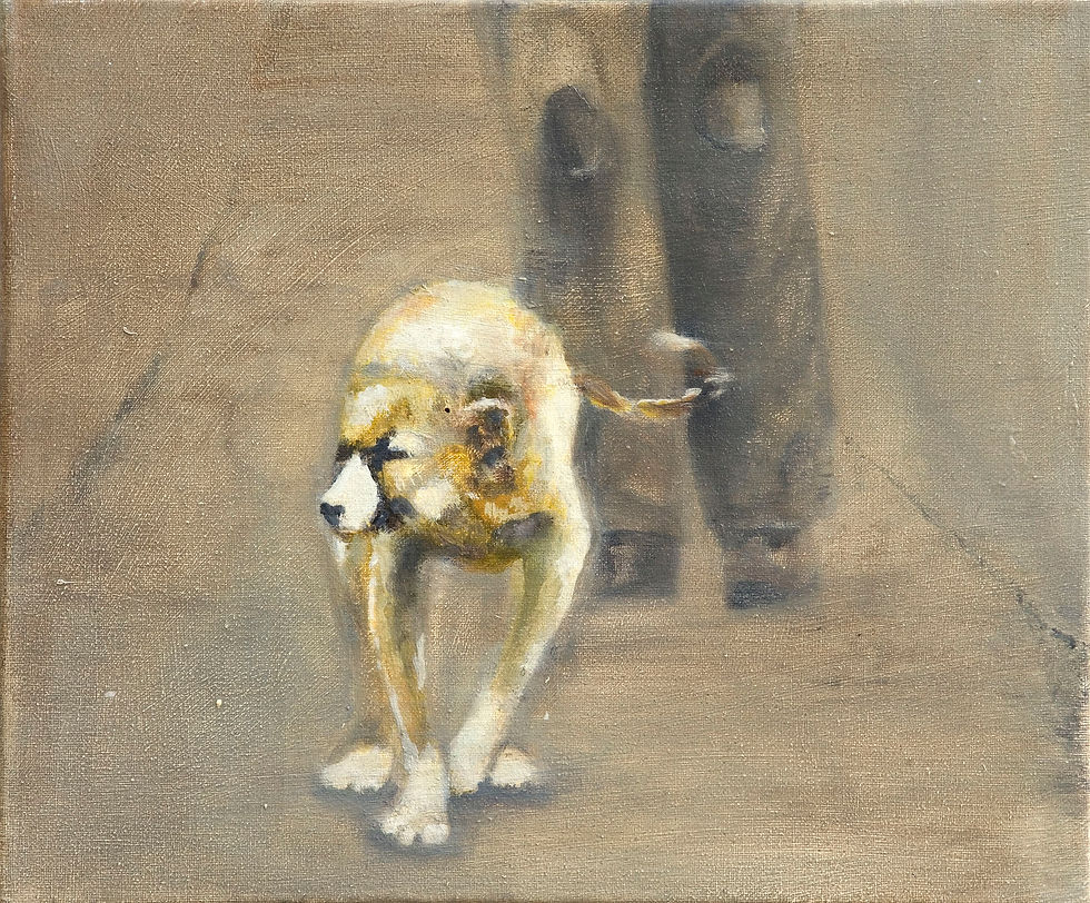 The Prowler