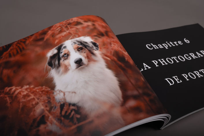 Livre de Nina Photographie pour apprendre la photographie canine moody